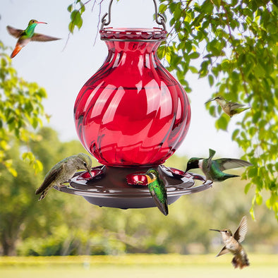 Red Netted Flower Bud Glass Hummingbird Feeder - Holds 26 oz of Nectar - We Love Hummingbirds