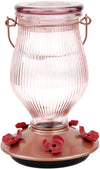 Rose Gold Top-Fill Glass Hummingbird Feeder - Holds 24 oz of Nectar - We Love Hummingbirds