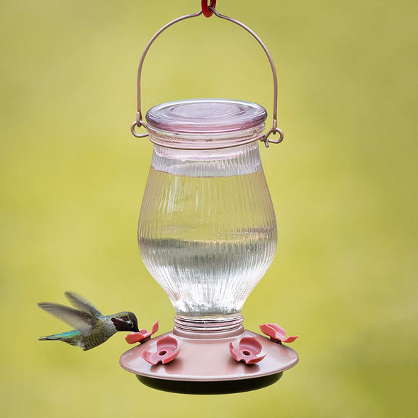 Rose Gold Top-Fill Glass Hummingbird Feeder - Holds 24 oz of Nectar - We Love Hummingbirds