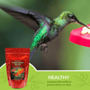 Sapphire Labs Naturally Fresh Hummingbird Nectar with Nectar Defender Lasts Longer in Hummingbird Feeders | Makes 96 Oz of Clear Hummingbird Nectar | an Easy Mix Hummingbird Nectar Powder - We Love Hummingbirds