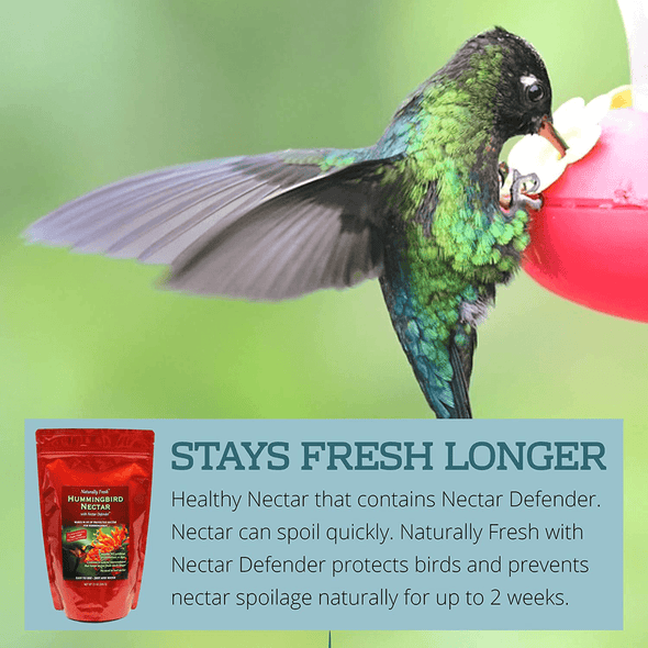 Sapphire Labs Naturally Fresh Hummingbird Nectar with Nectar Defender Lasts Longer in Hummingbird Feeders | Makes 96 Oz of Clear Hummingbird Nectar | an Easy Mix Hummingbird Nectar Powder - We Love Hummingbirds