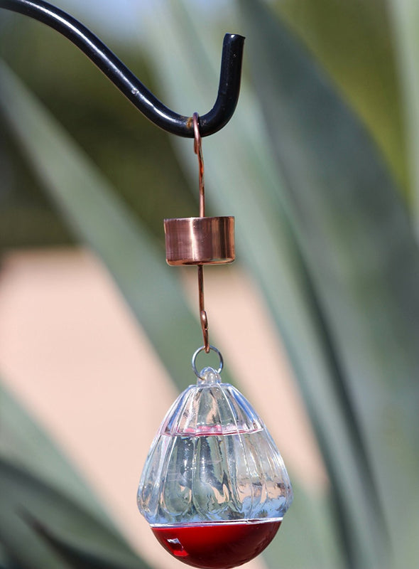 Skinny Ant Moat and Small Copper Bee & Wasp Proof Hummingbird Feeder Bundle - Perfect Gift Idea for that Hummingbird Lover in Your Life! - We Love Hummingbirds