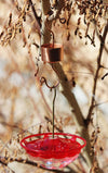 Skinny Ant Moat and Small Copper Bee & Wasp Proof Hummingbird Feeder Bundle - Perfect Gift Idea for that Hummingbird Lover in Your Life! - We Love Hummingbirds