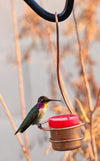 Skinny Ant Moat and Small Copper Bee & Wasp Proof Hummingbird Feeder Bundle - Perfect Gift Idea for that Hummingbird Lover in Your Life! - We Love Hummingbirds