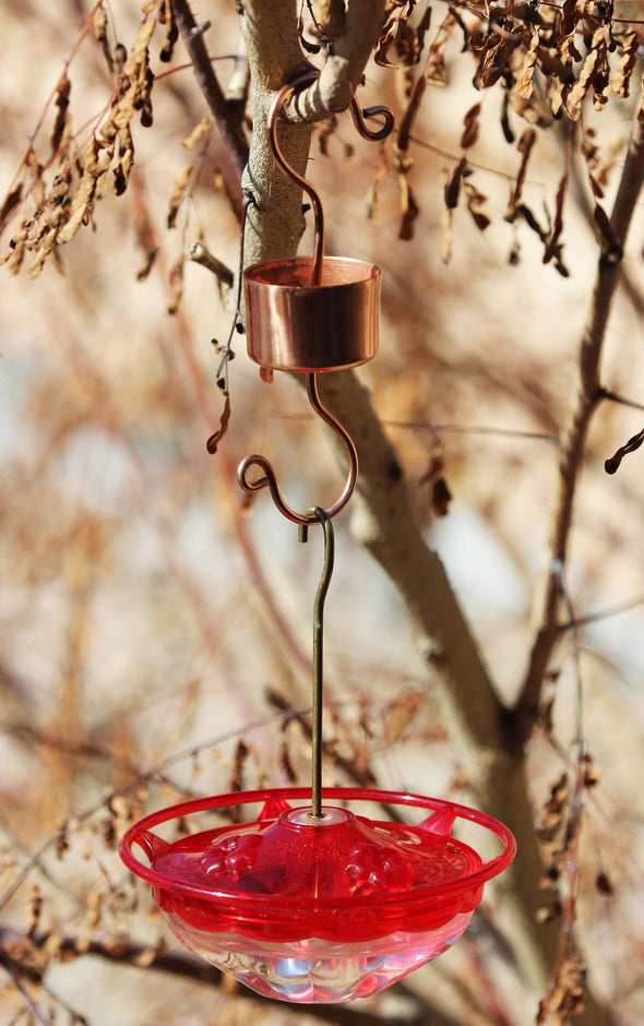 Skinny Ant Moat for Hummingbird Feeder - All Natural & Non Toxic Guard - We Love Hummingbirds