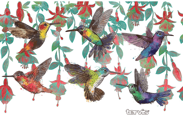 Tervis Colorful Hummingbirds Insulated Tumbler 20Oz Stainless Steel - We Love Hummingbirds