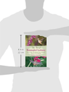 The Art of Hummingbird Gardening: How to Make Your Backyard into a Beautiful Home for Hummingbirds - We Love Hummingbirds