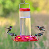 The Grand Master 48-Ounce Hummingbird Feeder - We Love Hummingbirds