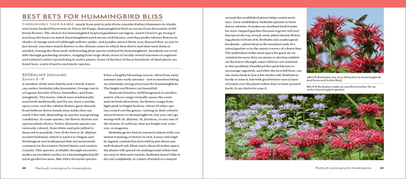 The Hummingbird Handbook: Everything You Need to Know about These Fascinating Birds - We Love Hummingbirds