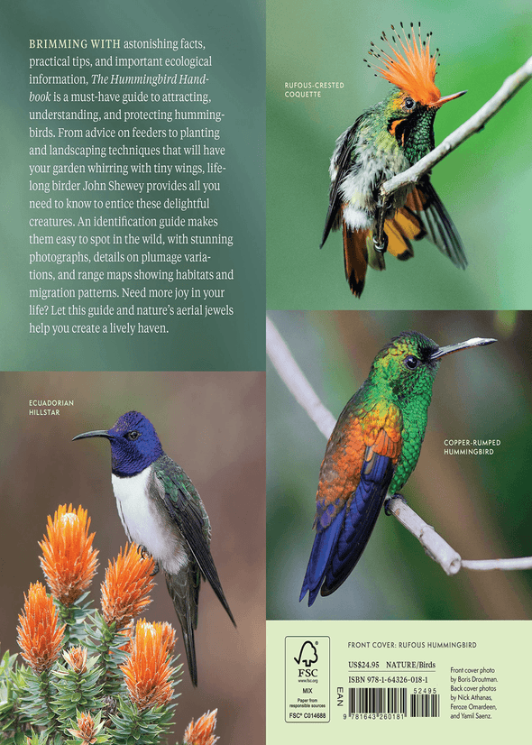 The Hummingbird Handbook: Everything You Need to Know about These Fascinating Birds - We Love Hummingbirds