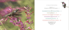 The Hummingbird Handbook: Everything You Need to Know about These Fascinating Birds - We Love Hummingbirds