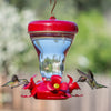 Top Fill Push-Pull 16-ounce Magnolia Plastic Hummingbird Feeder - We Love Hummingbirds