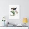 Velvet Purple Coronet Hummingbird Wall Art Decor - We Love Hummingbirds