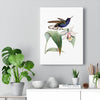 Velvet Purple Coronet Hummingbird Wall Art Decor - We Love Hummingbirds
