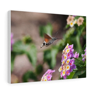 Vibrant Hummingbird and Flower Wall Art Decor - We Love Hummingbirds