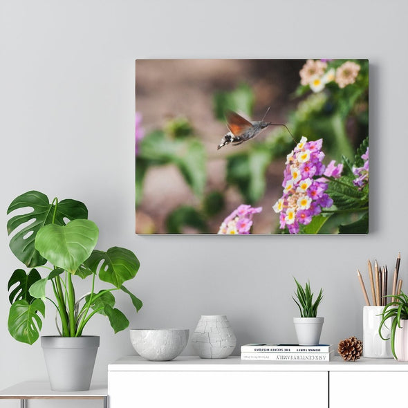 Vibrant Hummingbird and Flower Wall Art Decor - We Love Hummingbirds