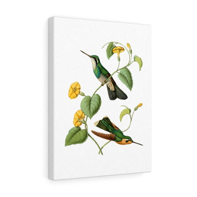 White Throated Hummingbird Wall Art Decor - We Love Hummingbirds