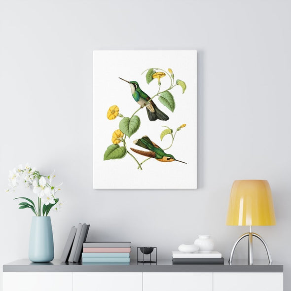 White Throated Hummingbird Wall Art Decor - We Love Hummingbirds
