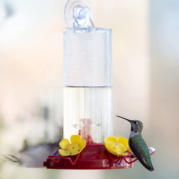 Window Mount Hummingbird Feeder - Holds 8 oz of Nectar - We Love Hummingbirds