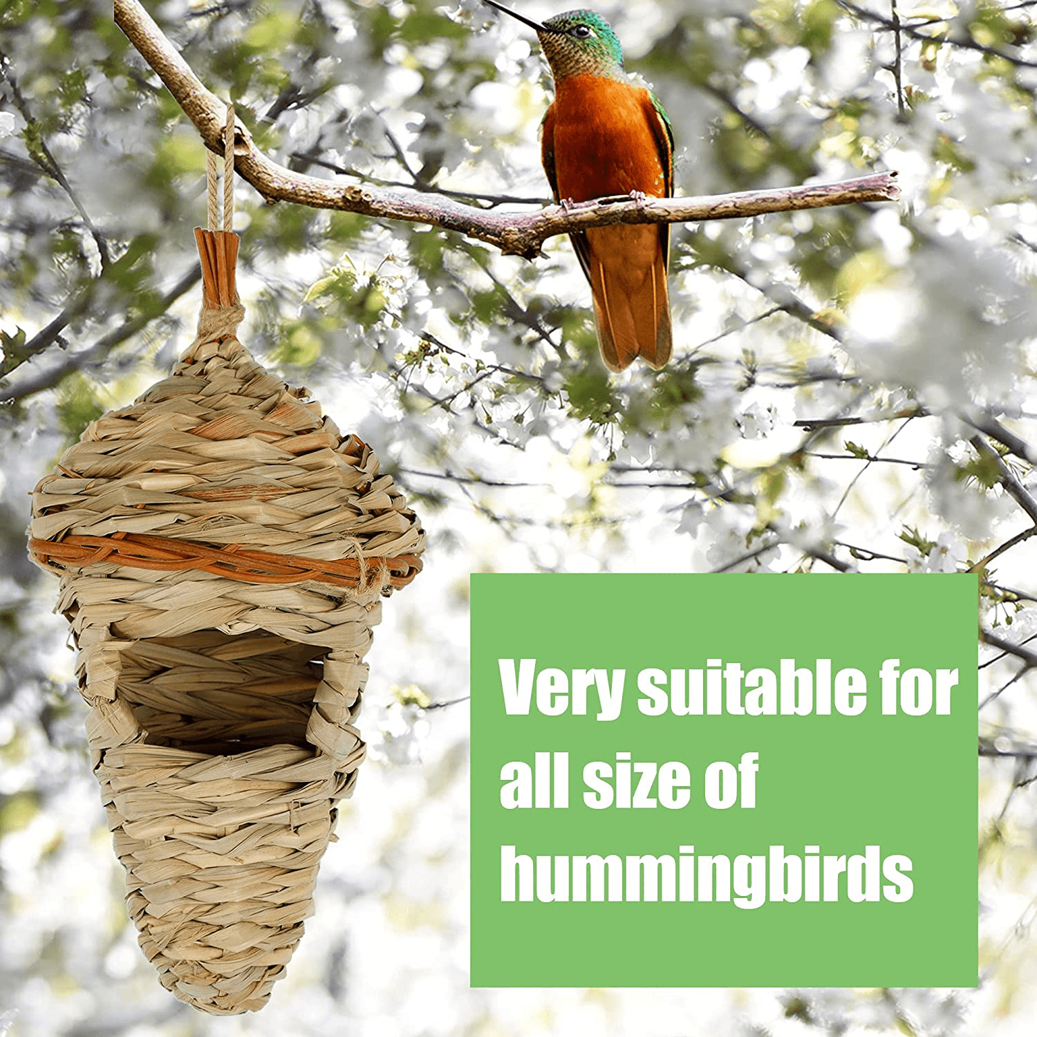 Hummingbird Nesting Boxes Hanging Hummingbird Nest