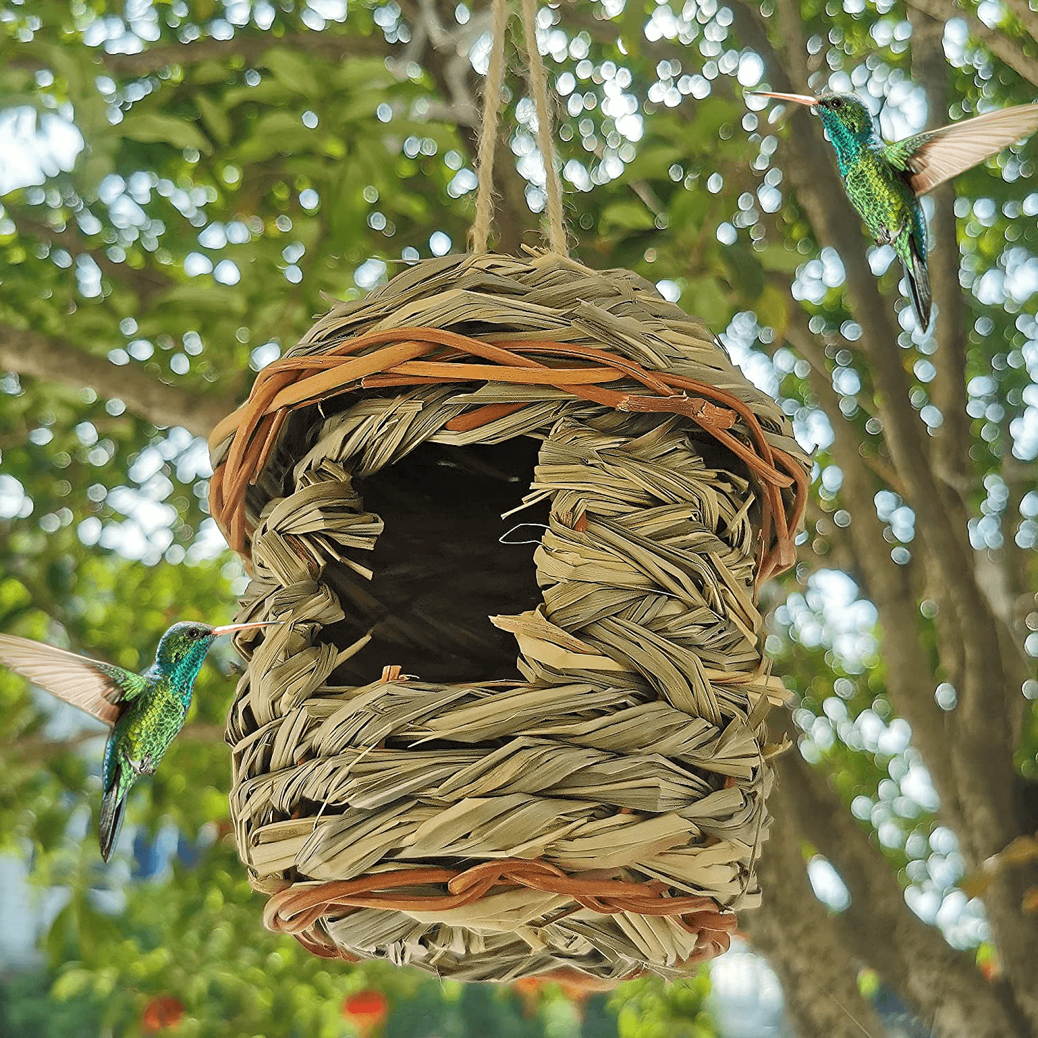 Hummingbird Nesting Boxes Hanging Hummingbird Nest