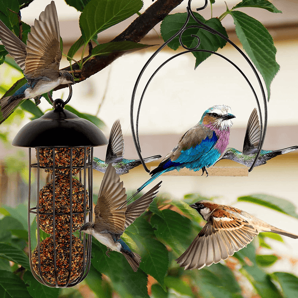 Winemana Set of 3 Hummingbird Swings, Rust Resistant Metal Frame, Wooden Dowel, Attach to Bird Feeders, Perfect for Hanging Indoor Office Outdoor Trunk Lawn Patio Garden (Double-Layer) - We Love Hummingbirds